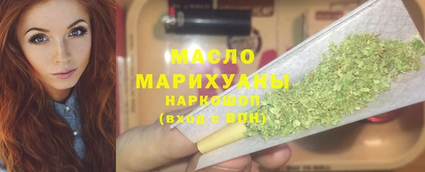 индика Заволжск