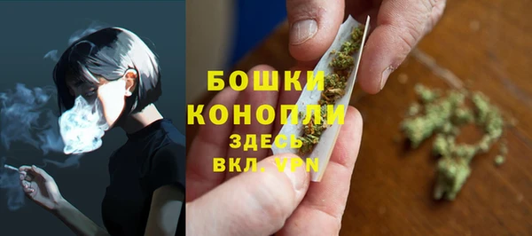 2c-b Заводоуковск