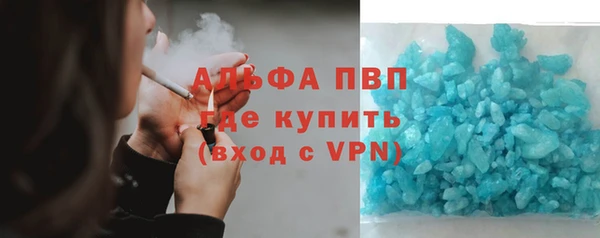 индика Заволжск