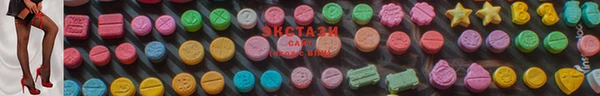индика Заволжск