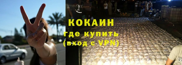 индика Заволжск