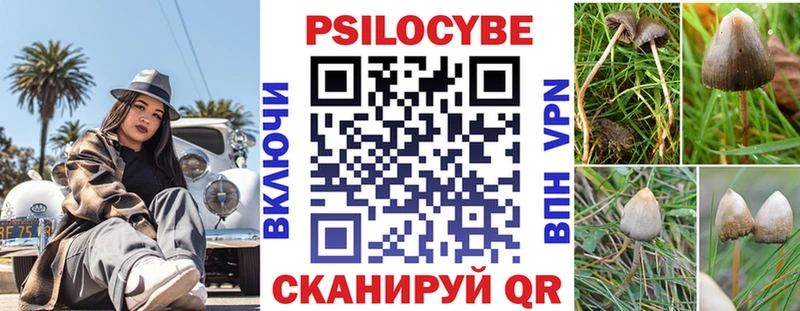 Купить  Ряжск  Псилоцибиновые грибы GOLDEN TEACHER 